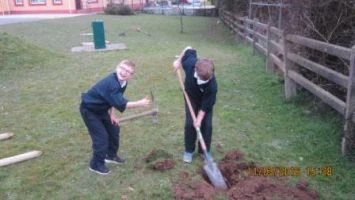 001national tree week 2016 005